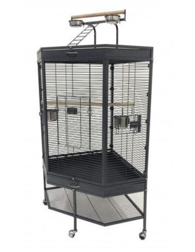 Cage perroquet angle cage gris gabon cage youyou eclectus