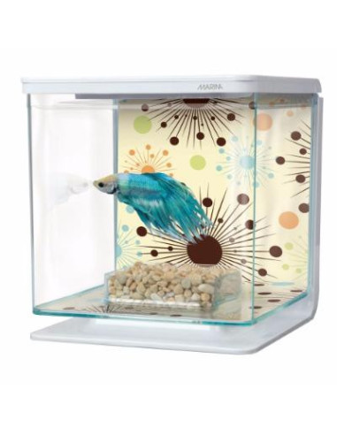 Aquarium combattant motif artifice ciel et terre