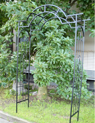 Arche jardin tendance noir en métal Arche jardin métal Arche en métal Arc