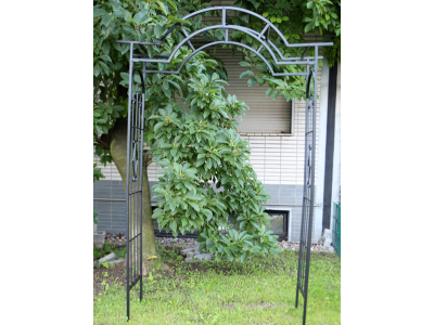 Arche de jardin pergola Nature acier galvanisé noir 113x38x229cm