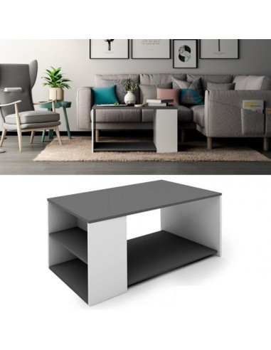 Table basse anthracite et blanche table basse rangement