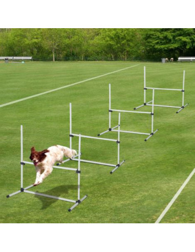 Ensemble d'équipement d'agilité pour chiens, équipement d'entraînement de  parcours d'obstacles pour animaux de compagnie