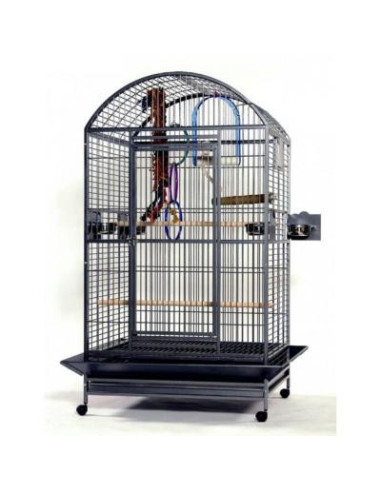 Cage perroquet Play cage ara cage cacatoes cage gris gabon