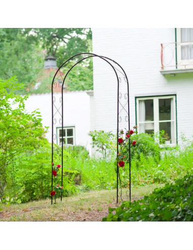 Arche de jardin en métal noir voute de jardin Arche jardin