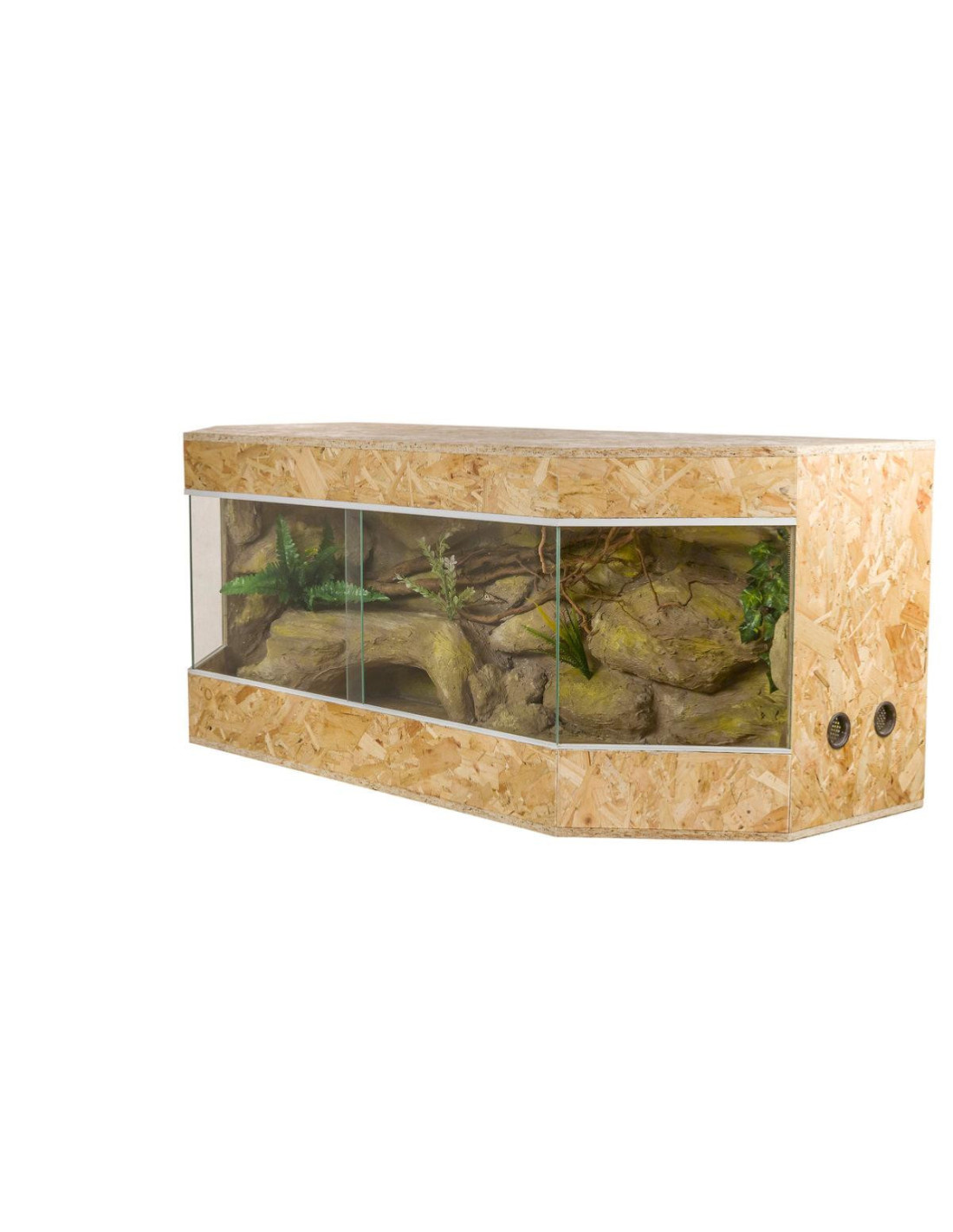 Mangeoire en plastique pour amphibiens et reptiles, terrarium pour