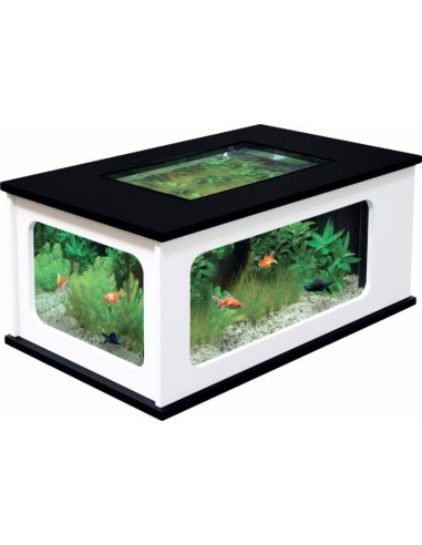 Aquarium table basse 3 couleurs ciel et terre Béton ciré