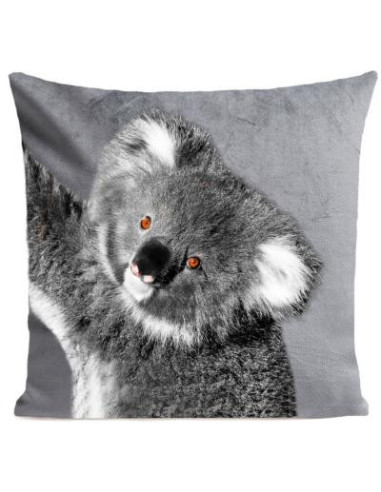 Coussin animaux Koala cielterre-commerce Bleu electrique