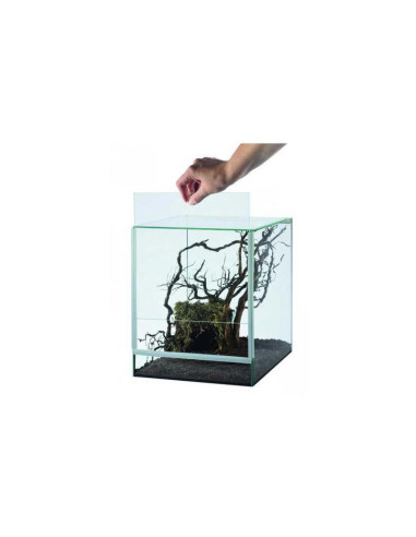 TERRARIUM en verre terrarium araignée terrarium insecte ciel et terre Taille 1