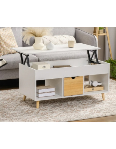 Table basse rectangulaire avec plateau relevable blanc Table salon moderne Table basse avec rangement