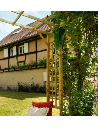 Maison Exclusive - Arche de jardin bois de pin imprégné vert